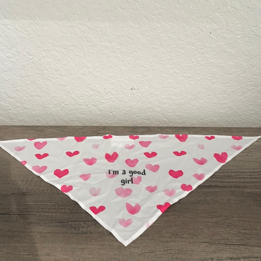 Dog bandana.